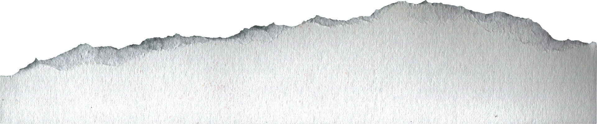 Decorative torn paper edge